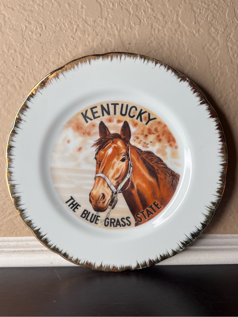 Vintage 1980s Kentucky Bluegrass State Horse Souvenir Plate